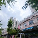 [일산 피부관리/더뷰티아미고] 마두역 전신관리 후기