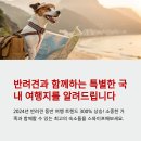 반려동물과 함께 떠나는 숙소 추천