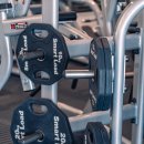 디퍼런스짐 이미지