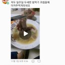 대왕한우 Daum카페