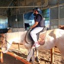 진스스포츠아카데미 이미지