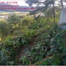 청일파출소 이미지