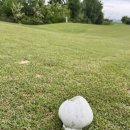 엠스클럽의성 이미지