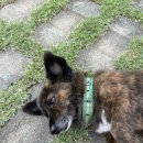 구름아래바다 이미지