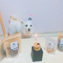 룰루네 식탁 이미지