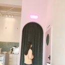 레브오