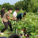 성내청소년문화의집 이미지