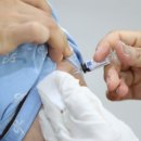 해명약품 이미지