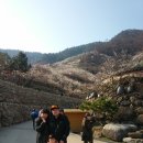화개보건지소 이미지