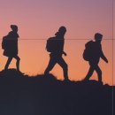 신동욱농장 이미지