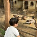 옷이야기 | 한겨울에 여름옷? 알리익스프레스 아기옷 구매 사이즈 후기