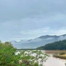 엄마의 정원 | 한국기행 해남 엄마의정원 카페 정보 알아보기