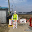 마리농장 이미지