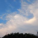 한재로타리 이미지