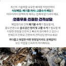 힐튼파크장 네이버블로그