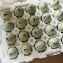 통일청란 이미지