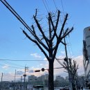 삼전하늘어린이집 이미지