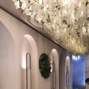 비오페이스의원 이미지