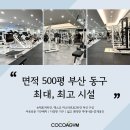 코코아짐 이미지