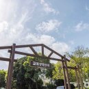 서귀포시삼매봉도서관 이미지