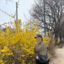 구로연세 | 40+6일) 구로 연세사랑모아 유도분만/자연분만 출산 후기