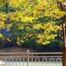 부산 어린이 대공원 수원지의 가을풍경 이미지