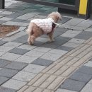 인천향교회관 이미지
