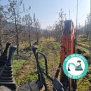 대명중기 이미지