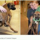 누렁이농장 이미지