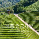 늘. 봄날