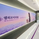 허브미인 - 사천시 | 허브미인