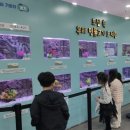 의정부민물고기 이미지