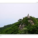 거창유도관 이미지