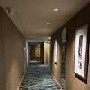 예원모텔 | 상하이 아이랑 가족여행 위치 좋은 숙소｜커넥팅룸 가능한 르네상스 상하이 유 가든 후기