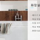 새집클로버 이미지