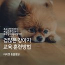 아이펫동물병원 이미지