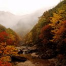 주왕산약국 이미지