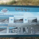 구례포해수욕장(주차장) 이미지