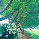 광동천 이미지