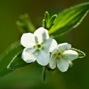 한방의료체험타운 이미지