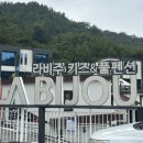 라비주 키즈풀빌라 | 전남 여수 펜션 추천 | 라비주 키즈앤풀빌라 B동 후기 (아이와 함께한 가족여행 숙소)