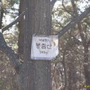 제608차 창원 비음산(510m) 2월 17일(셋째주) 이미지