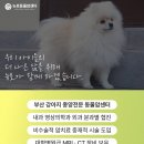 강내동물병원 이미지