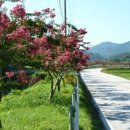 백암 1교 이미지