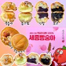 딩동세종 협동조합 | 세종디저트맛집에서 세종 선물세트 글루텐프리 빵 세종빵숭아 추천드리는 후기