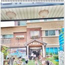 노벨유치원 이미지