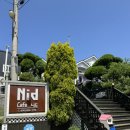 NID coffee(니드커피) | 보령 천북 굴단지 카페 카페NID(카페니드) 바다뷰 공룡뷰 베이커리 카페 내돈내산