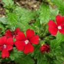 명암약수터 이미지