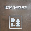 피지오숲 필라테스&PT 장현점 이미지