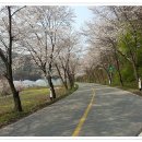 미원초교 금관분교 이미지